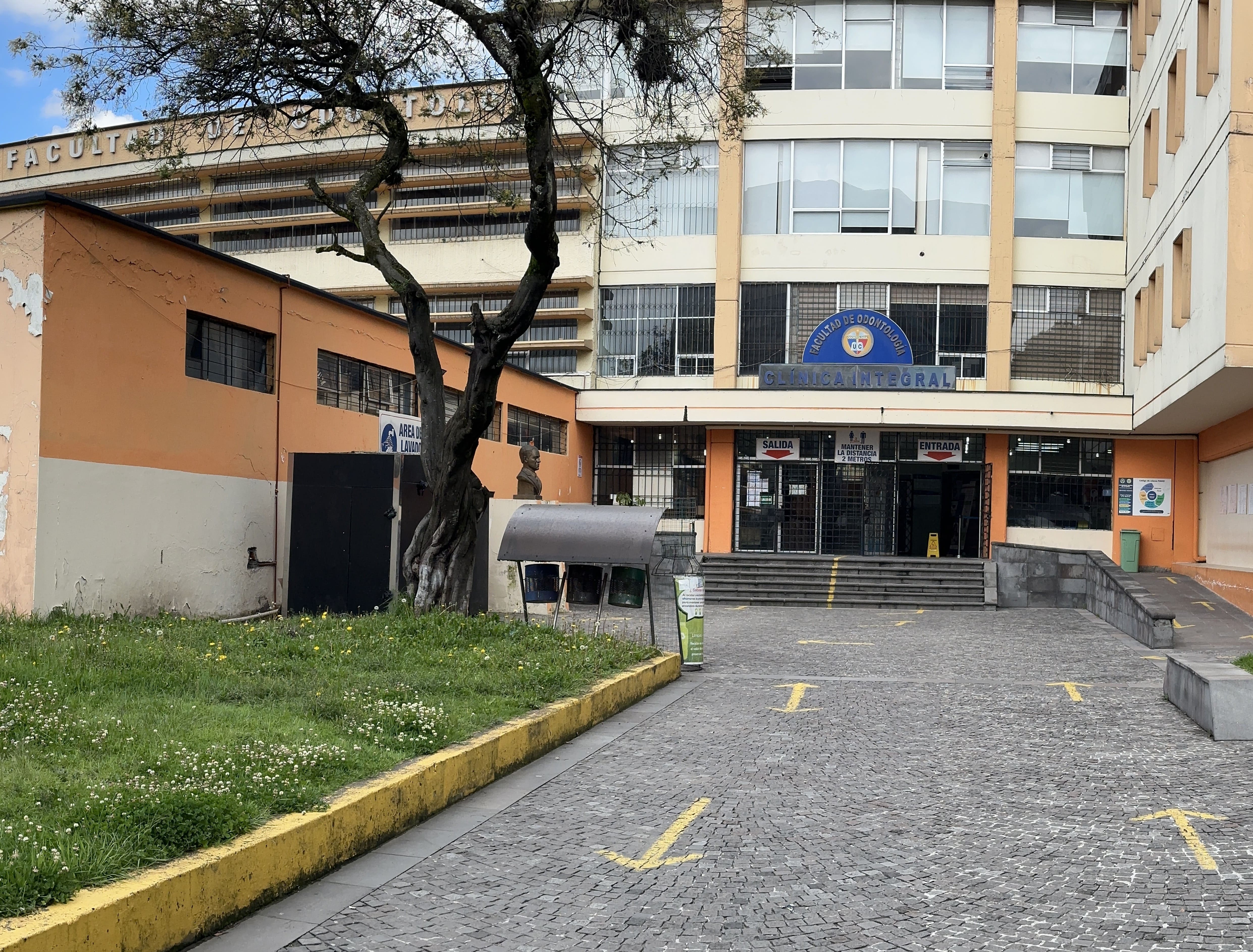 odonto